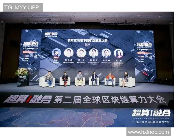 羽毛球传奇李敏的成长与挑战之路探秘